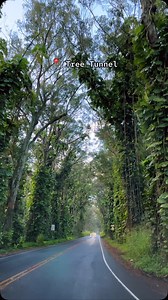 93K views · 201 reactions | Time to plan your 2025 trip to Kauai ...