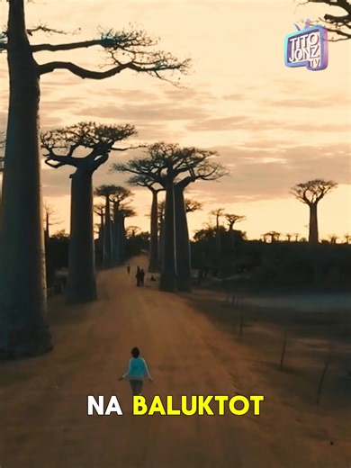 MADAGASCAR : Isla ng Alien o Nilikha ng Lasing na Scientist? Isang piraso ng Africa ang humiwalay 88 milyong taon ang nakalipas Tito Jonz TV,madagascar,madagascar documentary,madagascar explained,weird places on earth,strangest places in the world,alien looking places,parang ibang planeta,mysterious islands,evolution documentary,nature documentary tagalog,wildlife documentary,lemurs madagascar,baobab trees,avenue of baobabs,tsingy stone forest,isalo national park,andringitra national park,earth 