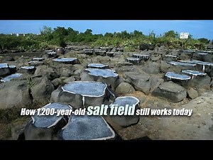 Live: How 1,200-year-old salt field still works today 探访洋浦千年古盐田