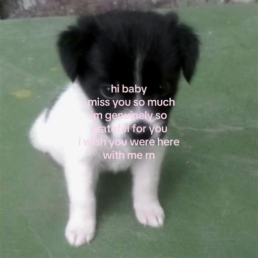 Missing My Girlfriend: A Sweet Appreciation