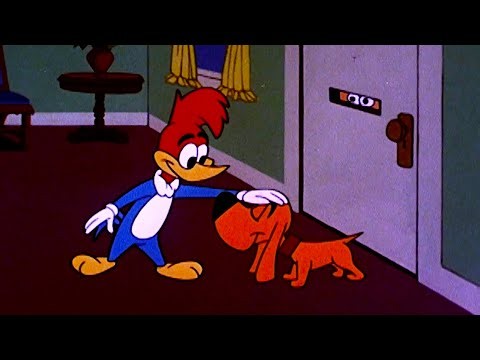 Woody Woodpecker | Classic Mega Compilation Vol 35 | Retro Funny Cartoons