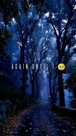 Until I Found You – Stephen Sanchez | Lyrics | LyricsHub 🎶 #shorts #lyrics #lyricshub #songlyrics