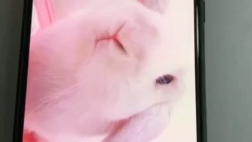 安卓系统无线打印教程