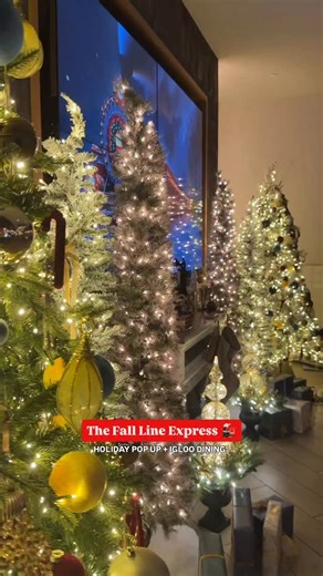 All aboard the @falllineva express 🚂 Make your reservation for one of #downtownrva’s newest holiday pop ups, The Fall Line Express 🎄 📆 Through January 4,2025 ℹ️ A limited amount of bar seating and a couple of tables reserved for walk-ins 🅿️ Complimentary valet parking through Richmond Marriott ❄️ Igloo dining begins Friday, November 28 | Venture Richmond