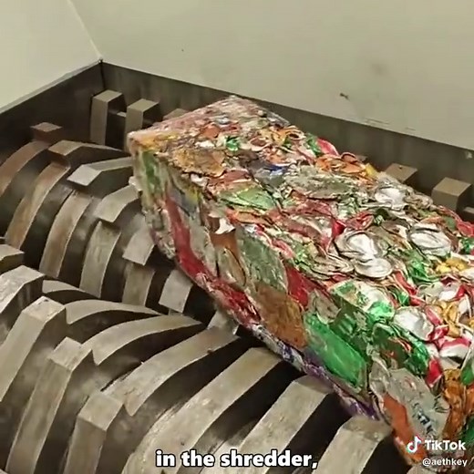 The 60-Day Journey of an Aluminum Can: An Inside Look