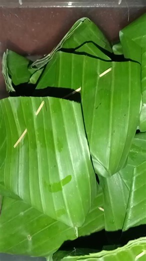 Menu kita hari ini #reells #jangkauanluas @sorotan | Dani Made