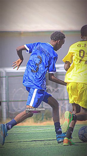 Amazing Sports Highlights Compilation