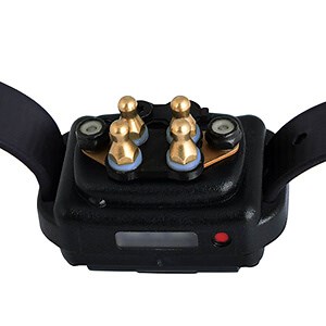 Comfort Pads | E Collar Technologies