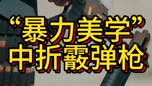暴力美学的典范 近距离自卫的首选武器FS-PRO霰弾枪