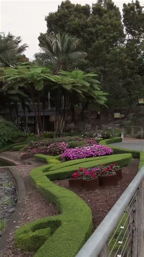 Roma Street Parkland Queensland Brisbane Australia
