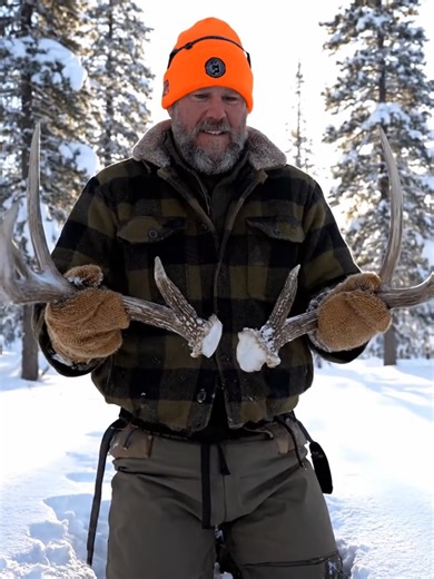 Start shed hunting with this new overpowered AI tool #shedhunting #offseason #whitetaildeer