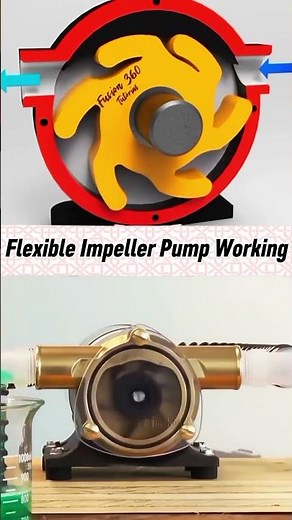 How a Flexible Impeller Pump Works - Complete Animation Explained #shorts