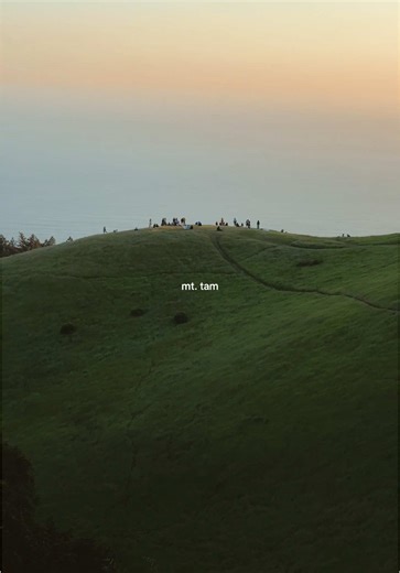 Exploring the Beauty of Mt. Tamalpais in Marin County