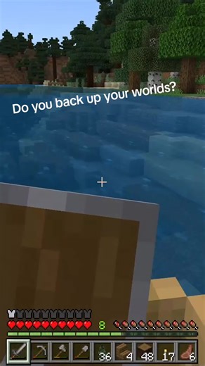 Minecraft Question Day 29 Do you back up your worlds? #minecraft #xroggvs