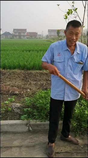 百姓的幸福感满满。李堡镇杨庄村环境真的很好！