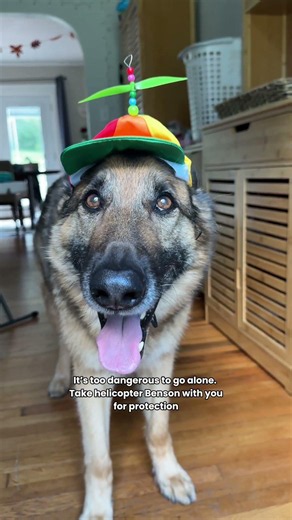 The best boy will assist you on your journey 🧙🏼‍♂️