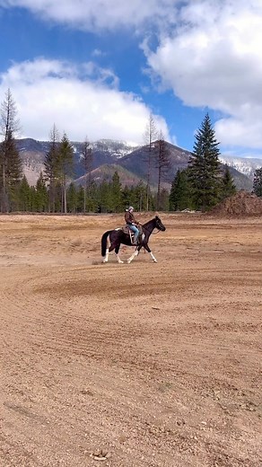 72 reactions · 14 comments | Come ride along with Maverick!  Maverick is a Tennessee Walker, a popular breed of horse known for their distinctive gait, also called the “running walk.” This is a four-beat gait where the horse moves smoothly and quickly, covering a lot of ground with each stride. The running walk is often described as feeling like riding on a cloud, as it is very comfortable and smooth for the rider. ✨ | Three Bandit Ranch | Facebook