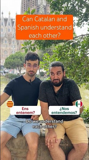 Can Catalan and Spanish Understand Each Other?
