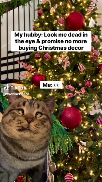 Funny Holiday Amazon Cart Moments