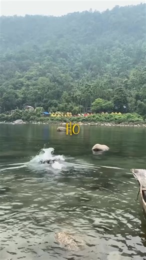 TRAVEL SHILLONG on Instagram: "Meghalaya Budget Itinerary 🧳 Guwahati itinerary already uploaded ☺️ 🚂Delhi to Guwahati Train under - 1000 🛩️Delhi to Guwahati flight under - 6K 🚕Guwahati to Shillong - 300 🏨Shillong hotel under- 1500 🏘️Hostel- under 600 🛌Youth hostel in 270 🍛Per day food in Shillong under 500 per day 🛵500 per day 🚕Taxi for one side booking 2000 to 3000 📍How to reach wari chora To uncover this hidden gem: • Start your journey from Emangre village in South Garo Hills • Hop