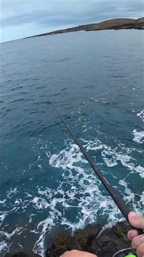 Crazy GT Chase! Hawaii Ulua fishing