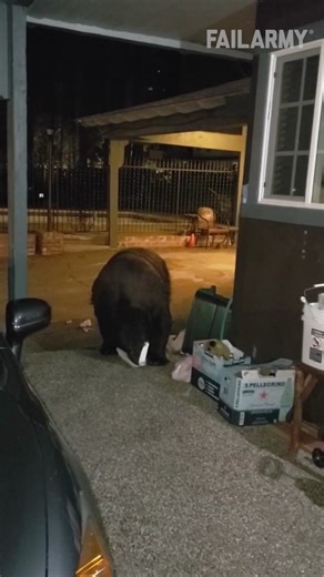 Close Call with a Bear | Funny Fail Compilation