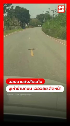 แมวขนร่วงลงพื้นเต็มบ้าน? Dreame ช่วยดูดได้หมดทุกเส้น! ไปตำด่วนเลย! 🐾✨ #dreame#dreameThailand#หุ่นยนต์ดูดฝุ่น#robotvacuum#แมว#สัตว์เลี้ยง#ของใช้สัตว์เลี้ยง#ของดีบอกต่อ#แม่บ้านยุคใหม่#รีวิวสินค้า#ชีวิตดี#รีวิวของใช้บ้าน#smarthome#เลี้ยงแมวในคอนโด#ไอเทมสัตว์เลี้ยง#ขนสัตว์เลี้ยง#vacuumcleaner#satisfyingcleaning#cleanwithme#drecoolebl #dreamehot