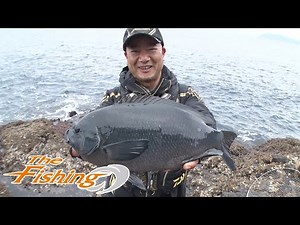 THEフィッシング「磯釣りの島で大型を狙う！愛媛県中泊のグレ釣り」アングラー・インプレッション 2021年2月13日