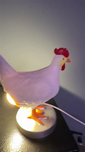 Chicken pooping out an egg nightlight #backyardchickens #nightlight #chicken