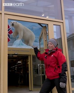 What to do when you see a polar bear! | BBC Earth
