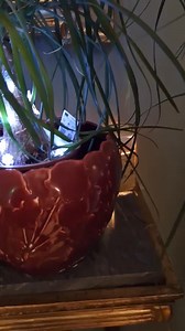 You won't believe what's inside this tea box! This Christmas work of art was created by Yorkshire Tea fan Judith, who you can find at Instagram.com/mischmasch_and_fabric_stash | Yorkshire Tea