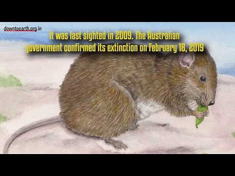 This is the first animal that has become extinct because of climate change