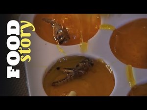 Il élève des insectes pour en faire des sucettes