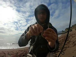 Fishing with Shrimp at Shell Beach, Pismo, CA