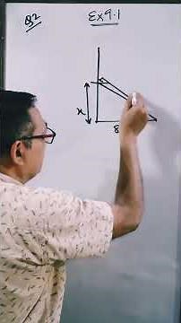 Question 2, Exercise 9.1, Chapter 9 – Some Application of Trigonometry Class 10 NCERT– A Tree breaks