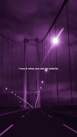 Señorita (Lyrics)|I love it when you call me señorita| #youtubeshorts #lyrics