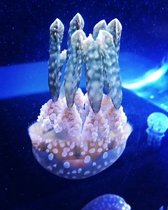 Did you know that Frost Science is open 365 days a year? Plan your visit ahead of time and skip the lines, visit frostscience.org/tickets. #ItsScienceMiami | Phillip and Patricia Frost Museum of Science