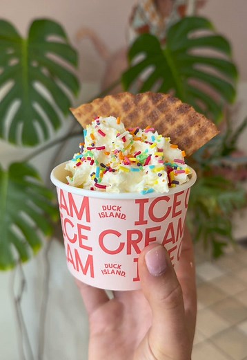 Discover Duck Island Ice Cream: A Unique Dessert Experience