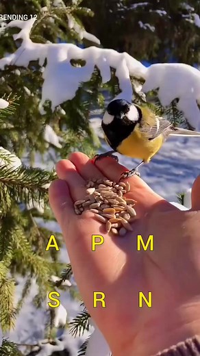 112K views · 10K reactions | HA Originals on Reels | Facebook