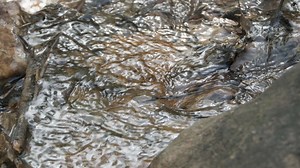 A spring water in the mountains