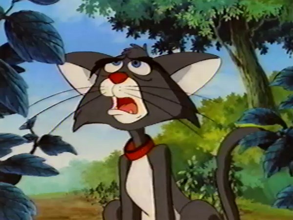 The New Adventures Of Peter Rabbit (VHS Rip)