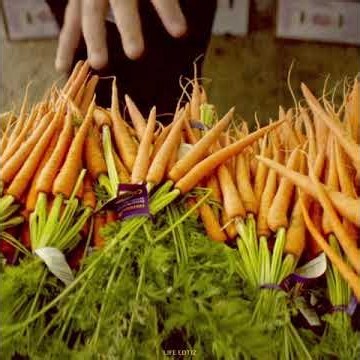 Master chef movies amazing explain #explore #shortflim