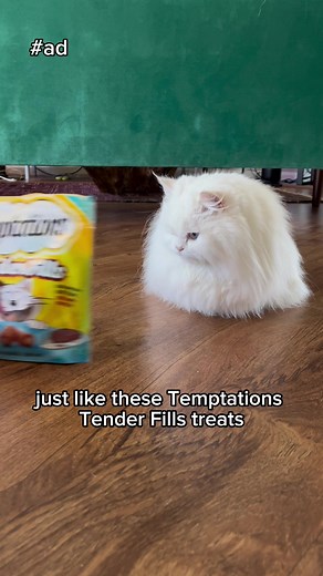 Try @Temptations TEMPTATIONS TENDER FILLS treats to help get to your cat’s soft center and up your cat parent game! #ad Use code kini15 for 15% off your order at Temptationstreats.com!