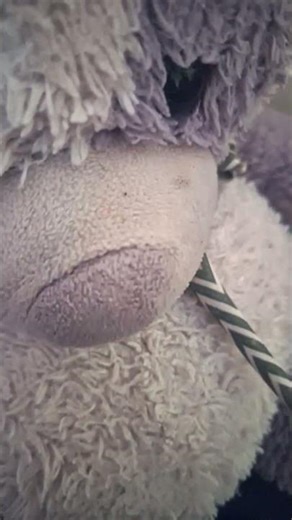 #DreamTrackAI Big mario, why are you so mean to everyone