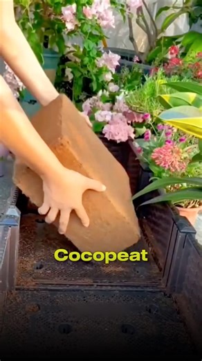 Cocopeat Business 🥥💰#cocopeat #businessideas #startupideas #business #viralideas #coconut