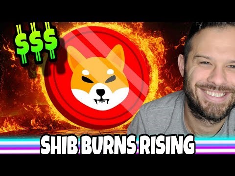 Shiba Inu Coin | SHIB Burns Are Rising, What Happens To The Price?