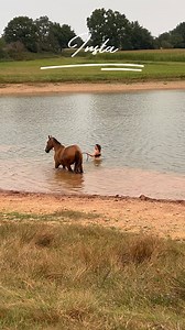 11K views · 434 reactions | Insta VS Reality ‍♀️ Swimming Horses  #equestrian #horseriding #horse | PonyCorn le blog | Facebook