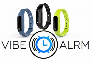 VibeAlarm Silent Alarm System