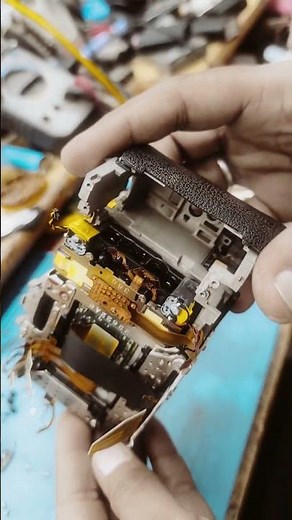 canon EOS R 6 working