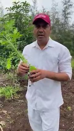 Talk of the bond between a farmer and other living beings at the farms - Yes, our day starts and ends with nature. How often are we amazed by "the seed" - that a whole, magnificent tree grew out of what looks like a spec of grit! A tiny seed lying somewhere can easily go unnoticed as if it could hardly make any difference. A seed is a universe-miniature; with a power that is profound and unfathomable. They make us want to contemplate the beauty of nature, holding endless reserves of strength ins